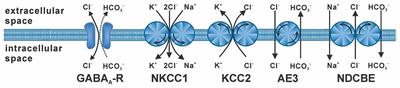 When Are Depolarizing GABAergic Responses Excitatory?